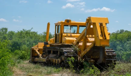 Forestry Mulching