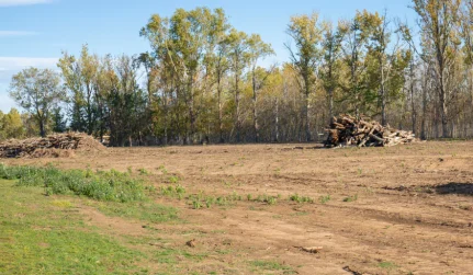 Land Clearing