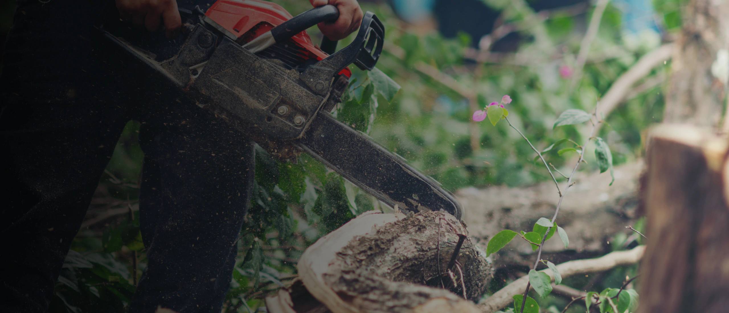 Mds Tree Care hero 2